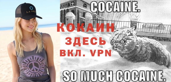 гидропоника Бородино