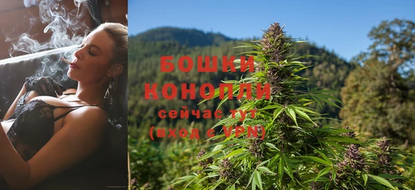 гидропоника Бородино
