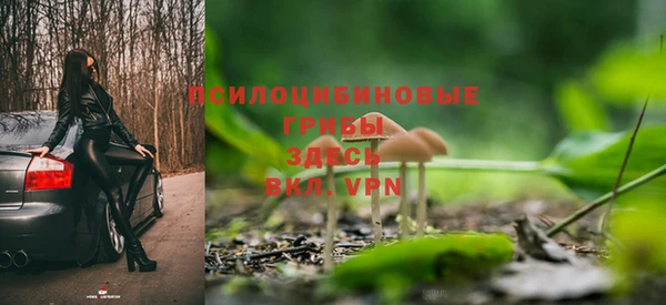 бошки Богородицк