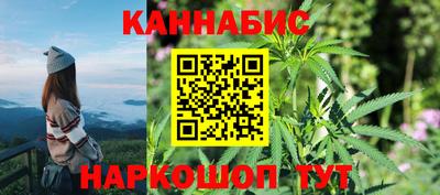 сатива Лесосибирск