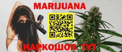 сатива Лесосибирск
