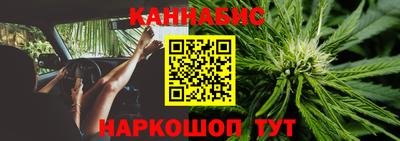 сатива Лесосибирск