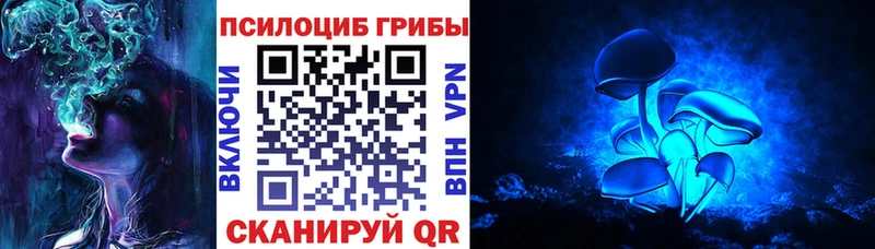 Галлюциногенные грибы MAGIC MUSHROOMS  закладки  Видное 