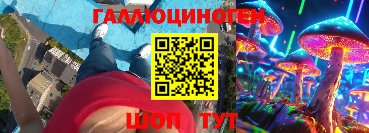 Видное  Галлюциногенные грибы MAGIC MUSHROOMS  Вход с VPN 